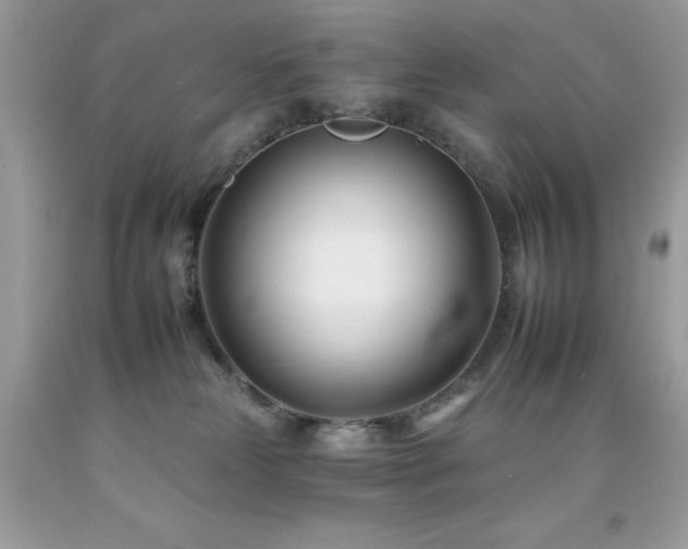 X0000092260181200709141216