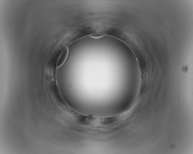 X0000092260182200709141216