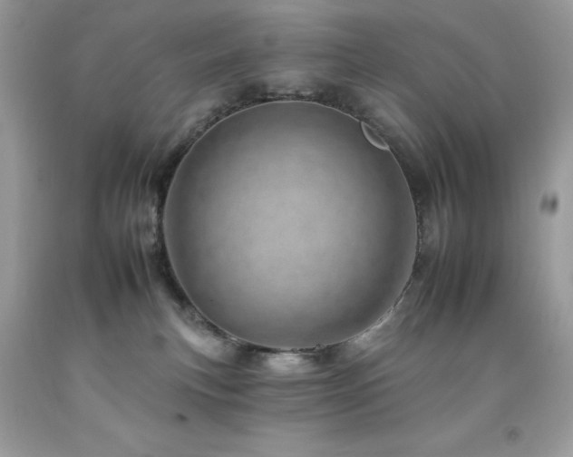 X0000092260183200709141216