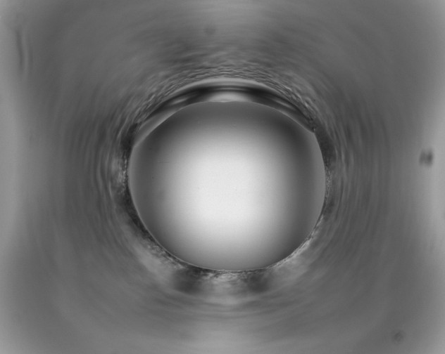 X0000092260186200709141216