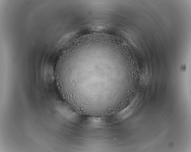 X0000092260187200709141216