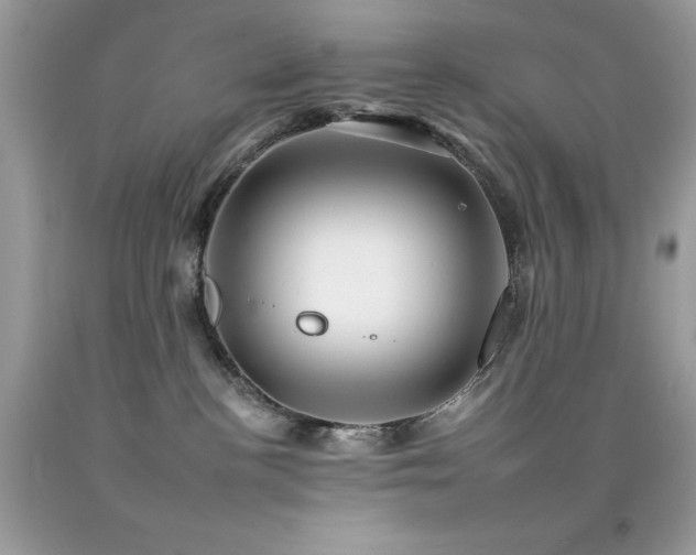 X0000092260188200709141216