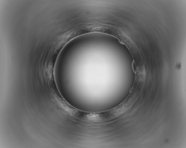 X0000092260189200709141216