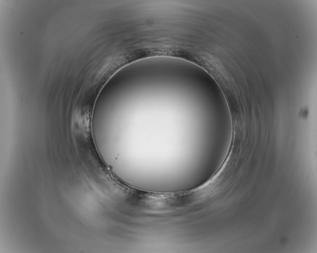 X0000092260190200709141216