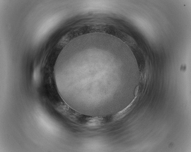 X0000092260191200709141217