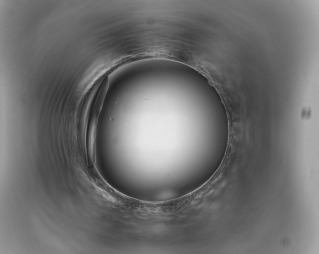X0000092260194200709141216