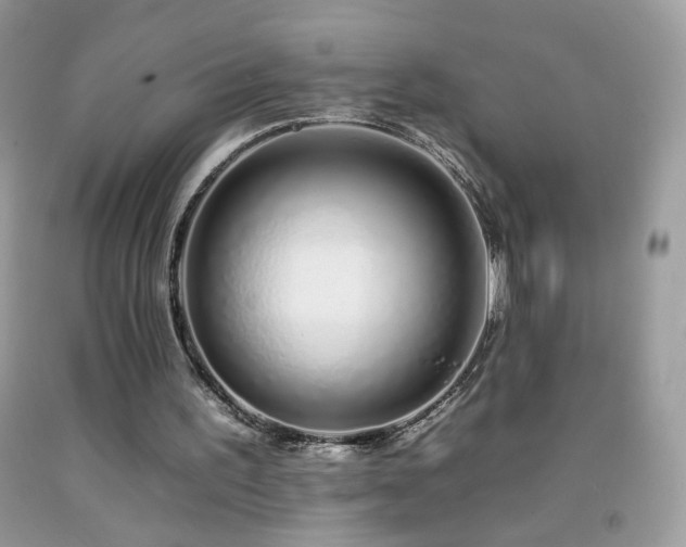 X0000092260195200709141216