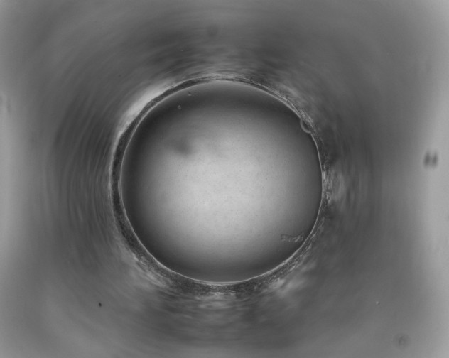 X0000092260196200709141216
