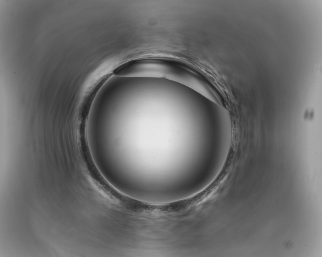 X0000092260197200709141216