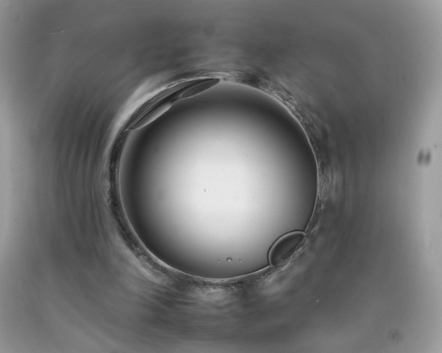 X0000092260198200709141216