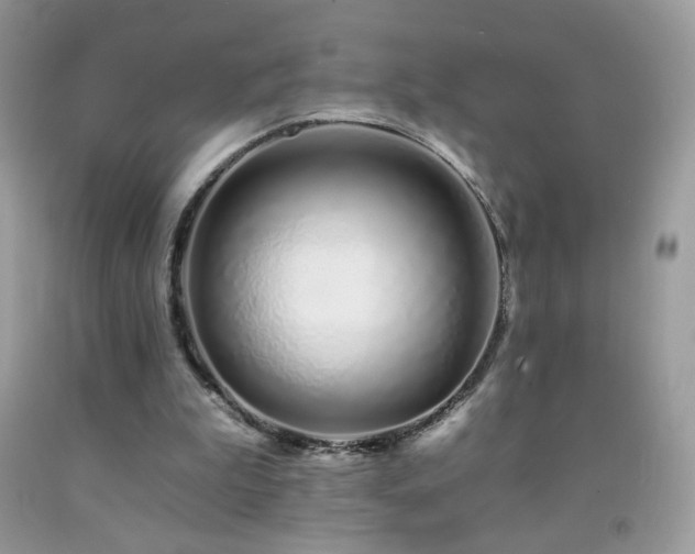X0000092260199200709141216