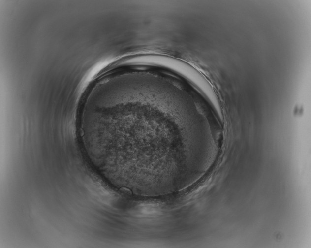 X0000092260200200709141216