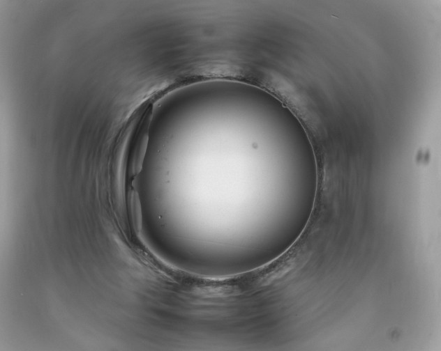 X0000092260202200709141216