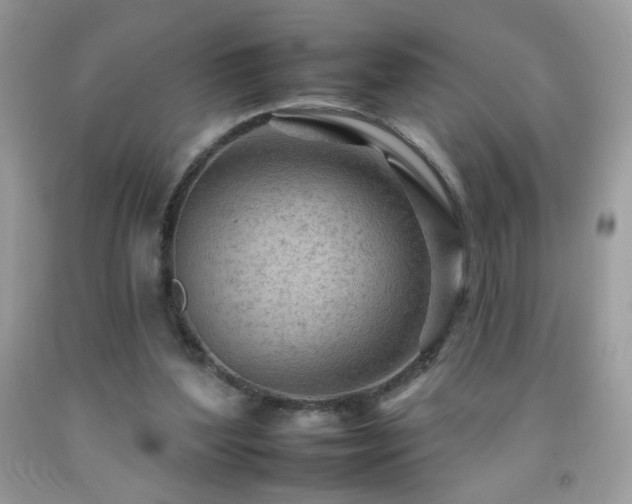 X0000092260204200709141216
