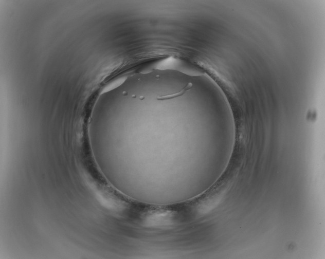 X0000092260206200709141216