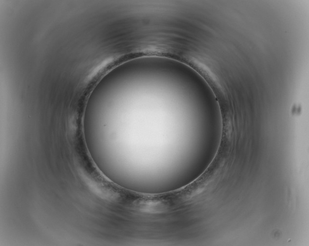 X0000092260208200709141216