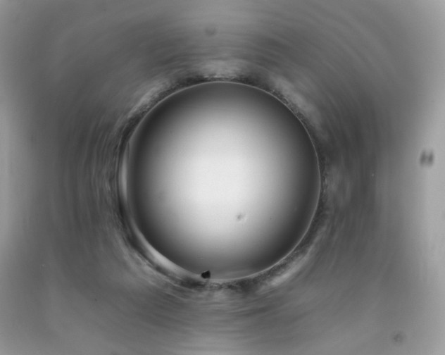 X0000092260209200709141216