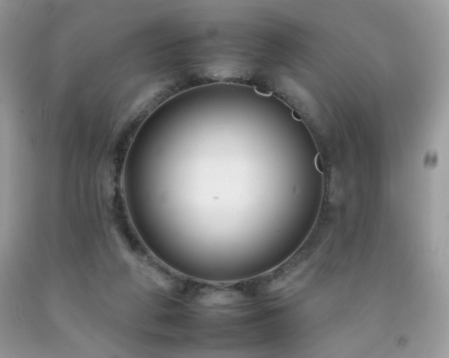 X0000092260210200709141216