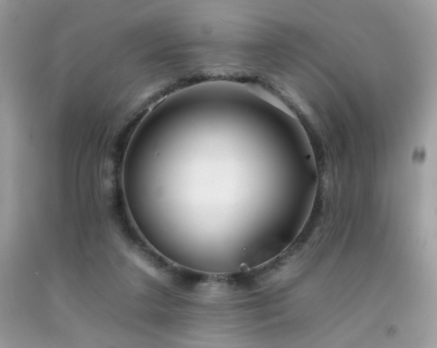 X0000092260211200709141216