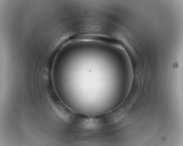 X0000092260212200709141216