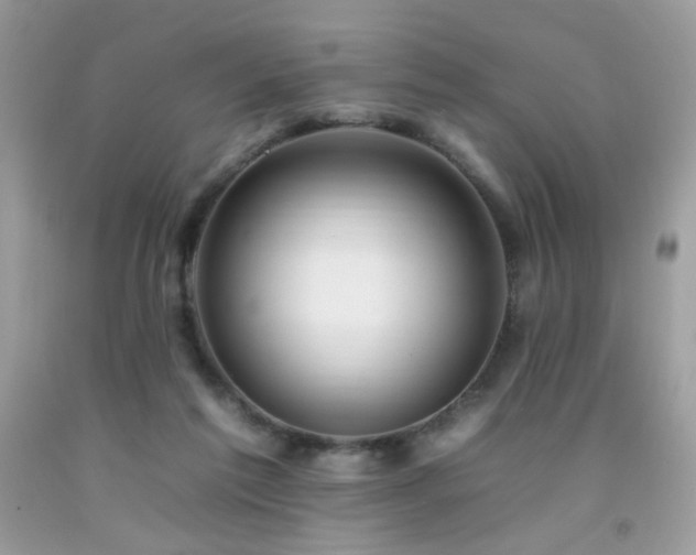 X0000092260213200709141216