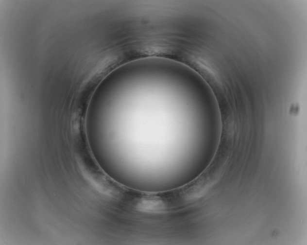 X0000092260214200709141215