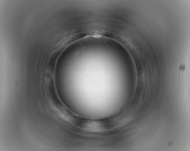 X0000092260218200709141215