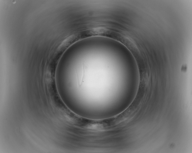 X0000092260220200709141215