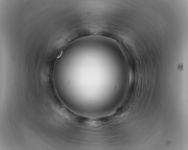 X0000092260221200709141215