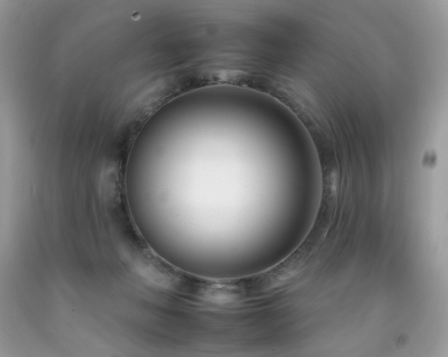 X0000092260222200709141215