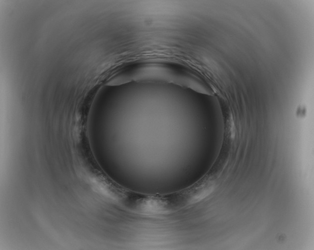 X0000092260223200709141215