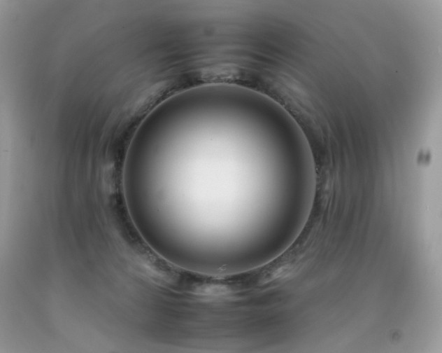 X0000092260224200709141215