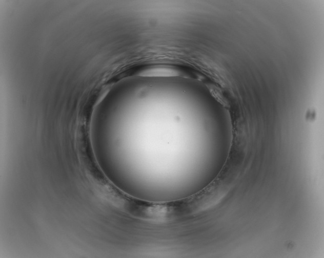 X0000092260225200709141215