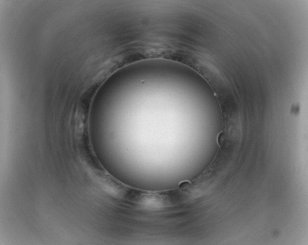 X0000092260226200709141215
