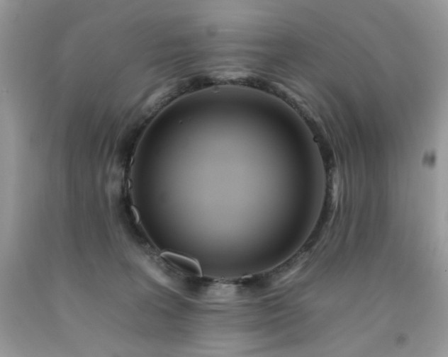 X0000092260227200709141215