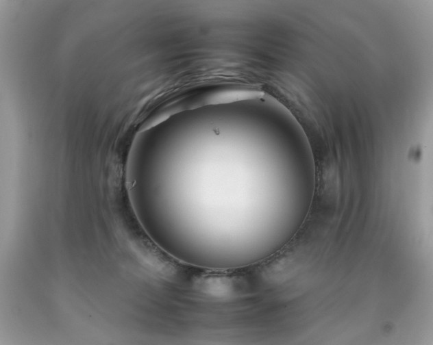 X0000092260228200709141215