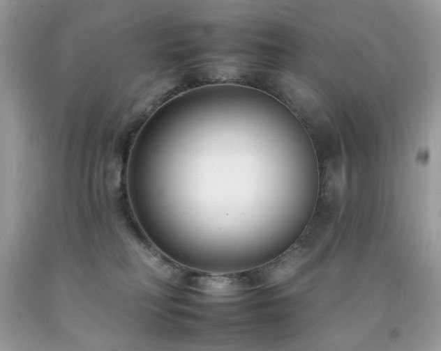 X0000092260230200709141215