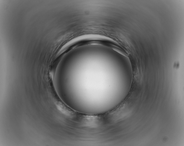 X0000092260233200709141215