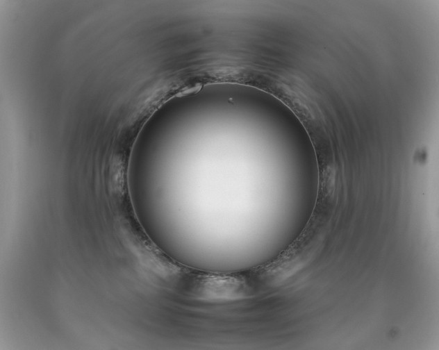 X0000092260234200709141215
