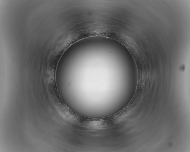 X0000092260236200709141215