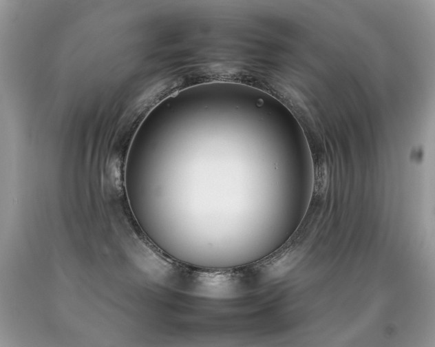 X0000092260238200709141215