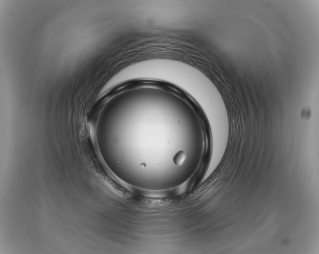 X0000092260239200709141215