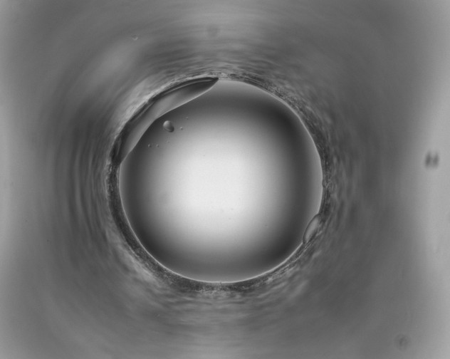 X0000092260242200709141215