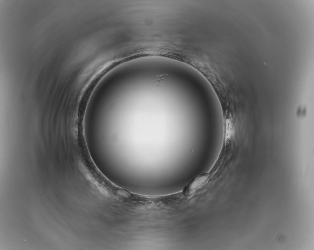 X0000092260243200709141215