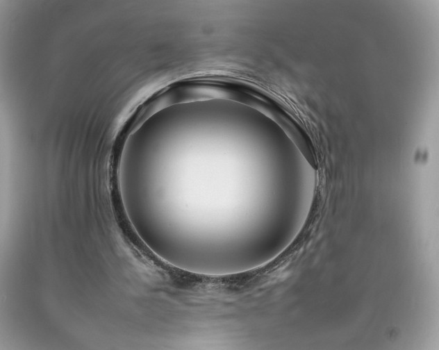 X0000092260244200709141215