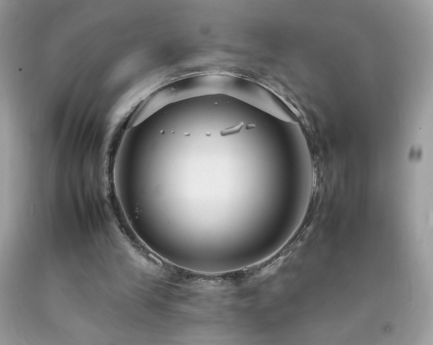 X0000092260245200709141215
