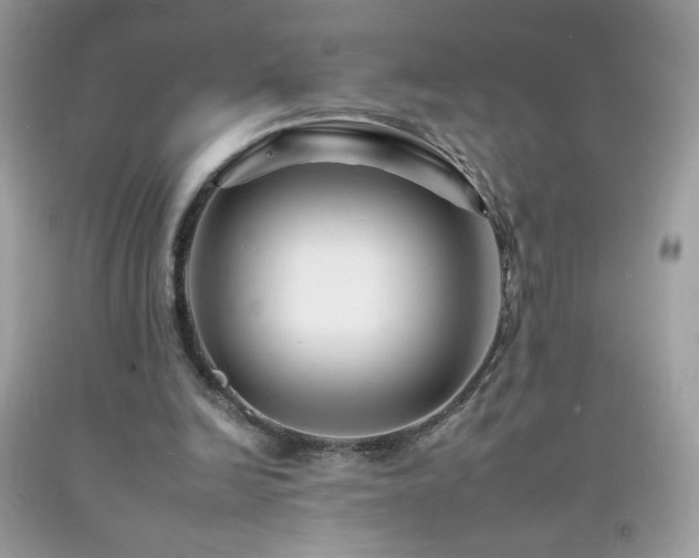 X0000092260246200709141215