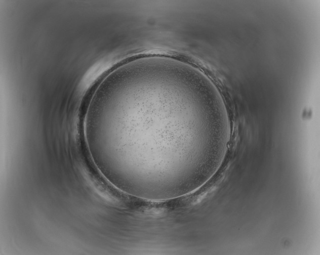 X0000092260247200709141215