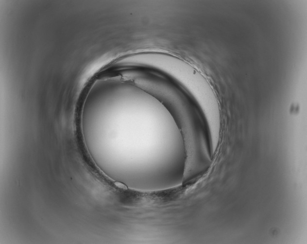 X0000092260248200709141215