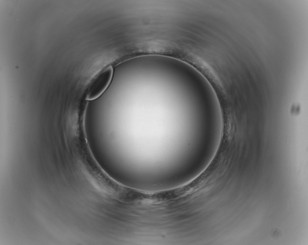 X0000092260251200709141215